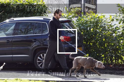 Zuiderwoude 4 maart 2024
Thijs Romer laat zijn hond uit.