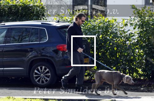 Zuiderwoude 4 maart 2024
Thijs Romer laat zijn hond uit.