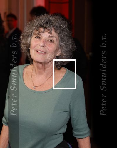 Amsterdam 15 maart 2024
Boekenbal in de stadschouwburg. Yvonne Kroonenberg