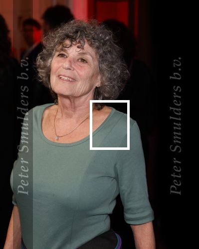 Amsterdam 15 maart 2024
Boekenbal in de stadschouwburg. Yvonne Kroonenberg