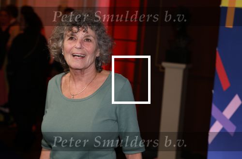 Amsterdam 15 maart 2024
Boekenbal in de stadschouwburg. Yvonne Kroonenberg