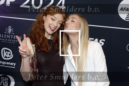 Leusden 4 maart 2024
Uitreikings edisons pop 2024 in het AFAS theater in Leusden. 
Zangeres Froukje Zangeres 
Froukje Veenstra 
Zangeres Stien Zangeres 
S10 
Stien den Hollander
