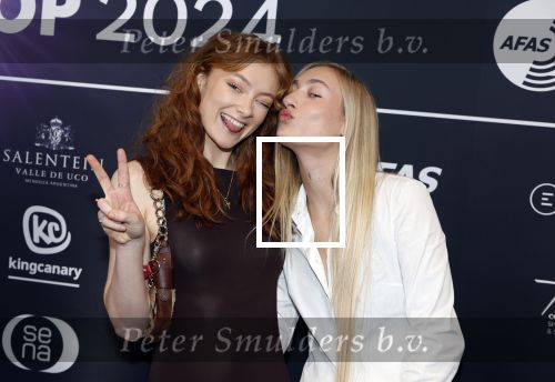 Leusden 4 maart 2024
Uitreikings edisons pop 2024 in het AFAS theater in Leusden. 
Zangeres Froukje Zangeres 
Froukje Veenstra 
Zangeres Stien Zangeres 
S10 
Stien den Hollander