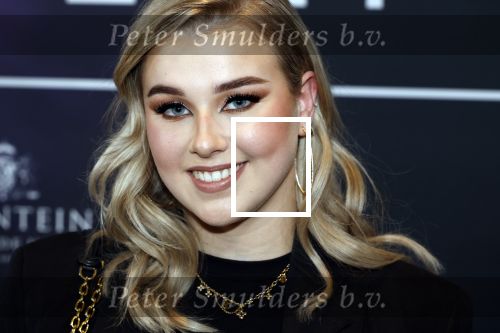 Leusden 4 maart 2024
Uitreikings edisons pop 2024 in het AFAS theater in Leusden. 
Zangeres Senna Zangeres 
Senna Willems