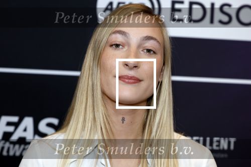 Leusden 4 maart 2024
Uitreikings edisons pop 2024 in het AFAS theater in Leusden. 
Zangeres Stien Zangeres 
S10 
Stien den Hollander