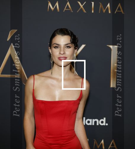 Amsterdam 11 maart 2026
Premiere 2e seizoen Maxima ( Videoland) in nieuwe kerk in Amsterdam . Agustina Palma