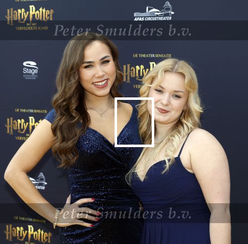 Scheveningen 14 maart 2026
Premiere Harry Potter in het afas circustheater. Anique Dreamon