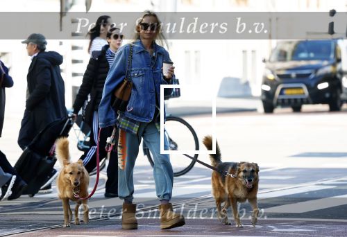 Amsterdam 5 maart 2026
Annekee Molenaar met hun 2 honden op straat in Amsterdam zuid.