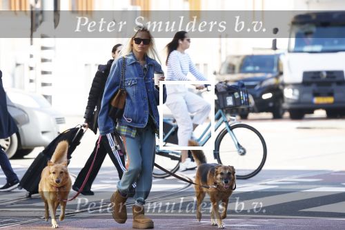 Amsterdam 5 maart 2026
Annekee Molenaar met hun 2 honden op straat in Amsterdam zuid.