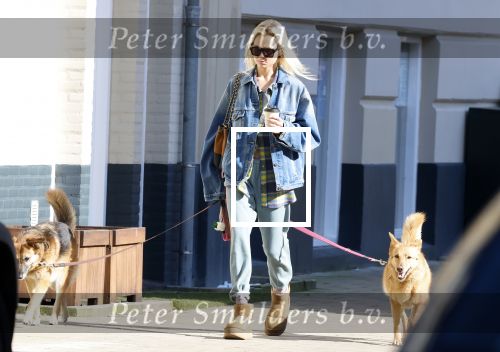 Amsterdam 5 maart 2026
Annekee Molenaar met hun 2 honden op straat in Amsterdam zuid.