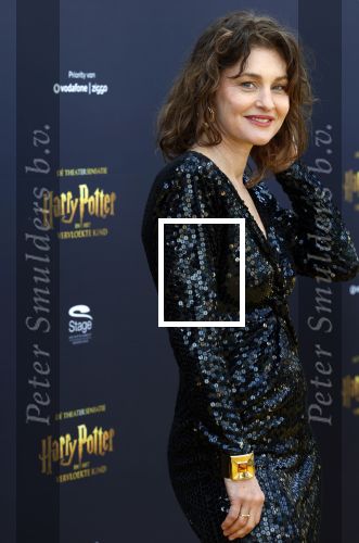 Scheveningen 14 maart 2026
Premiere Harry Potter in het afas circustheater. Anouk Maas kwam samen met Jerrel Houtsnee