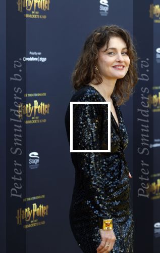 Scheveningen 14 maart 2026
Premiere Harry Potter in het afas circustheater. Anouk Maas kwam samen met Jerrel Houtsnee