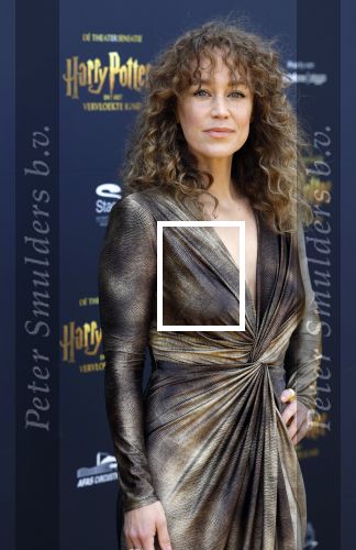 Scheveningen 14 maart 2026
Premiere Harry Potter in het afas circustheater. Anouk Maas kwam samen met Jerrel Houtsnee