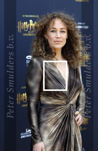 Scheveningen 14 maart 2026
Premiere Harry Potter in het afas circustheater. Anouk Maas kwam samen met Jerrel Houtsnee