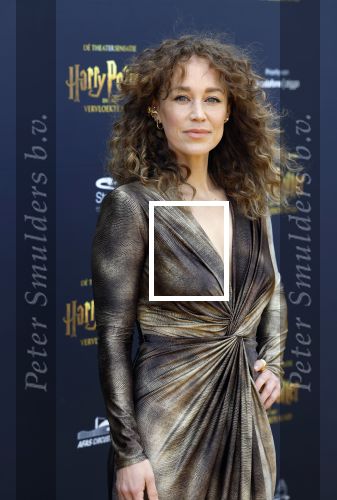 Scheveningen 14 maart 2026
Premiere Harry Potter in het afas circustheater. Anouk Maas kwam samen met Jerrel Houtsnee
