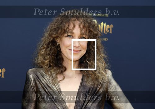 Scheveningen 14 maart 2026
Premiere Harry Potter in het afas circustheater. Anouk Maas kwam samen met Jerrel Houtsnee