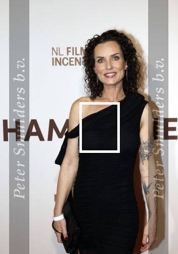 Amsterdam 16 maart 2026
Premiere Champagne met in de hoofdrollen Leo Alkemade Huub Stapel  en Guus Meeuwis . Aukje v Ginneken met haar dochter