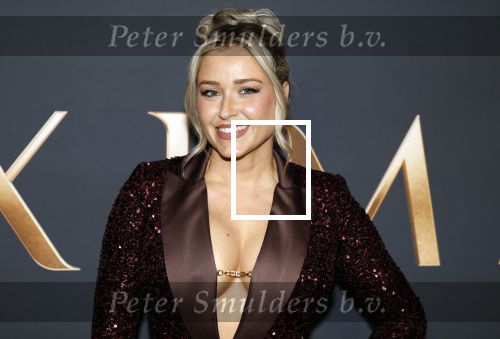 Amsterdam 11 maart 2026
Premiere 2e seizoen Maxima ( Videoland) in nieuwe kerk in Amsterdam . Beate v d Weide