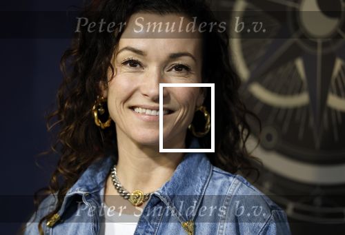 Hilversum 4 maart 2026
Presentatie deelnemers de verraders met oa:
Birgit Schuurman