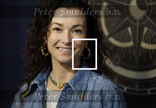 Hilversum 4 maart 2026
Presentatie deelnemers de verraders met oa:
Birgit Schuurman
