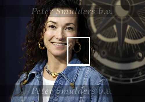 Hilversum 4 maart 2026
Presentatie deelnemers de verraders met oa:
Birgit Schuurman