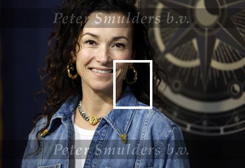 Hilversum 4 maart 2026
Presentatie deelnemers de verraders met oa:
Birgit Schuurman