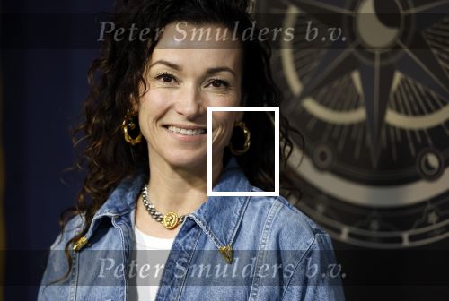 Hilversum 4 maart 2026
Presentatie deelnemers de verraders met oa:
Birgit Schuurman