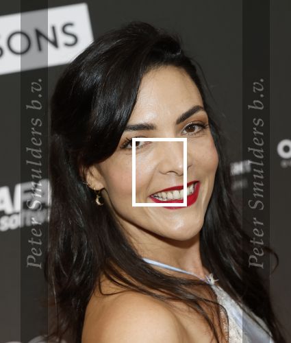 Leusden 9 maart 2026
Uitreiking edisons muziekprijzen bij Afas .  Caro Emerald