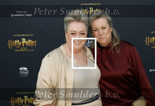 Scheveningen 14 maart 2026
Premiere Harry Potter in het afas circustheater. Christel de Laat