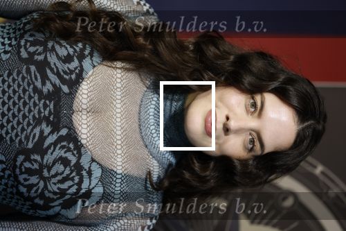 Hilversum 4 maart 2026
Presentatie deelnemers de verraders met oa:
Danielle v Grondelle