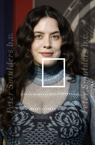 Hilversum 4 maart 2026
Presentatie deelnemers de verraders met oa:
Danielle v Grondelle