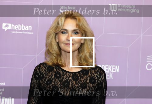 Amsterdam 13 maart 2026
Boekenbal 2026 in de schouwburg van Amsterdam. Daphne Deckers