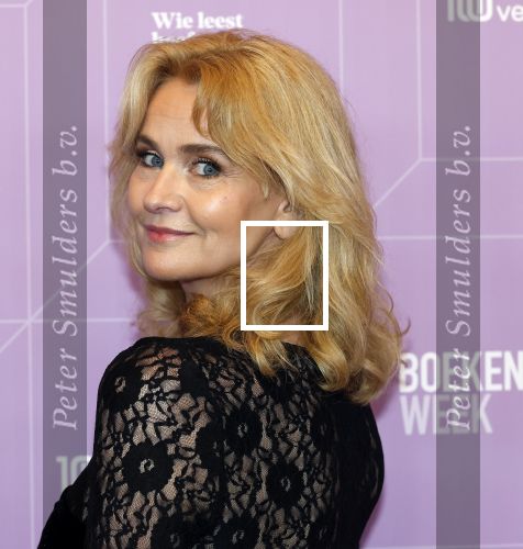 Amsterdam 13 maart 2026
Boekenbal 2026 in de schouwburg van Amsterdam. Daphne Deckers