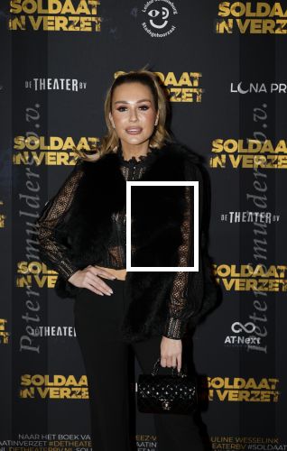 Leiden 31 maart 2026
Premiere Soldaat in verzet in de schouwburg van Leiden. Deborah Luijendijk en ...