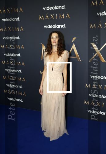 Amsterdam 11 maart 2026
Premiere 2e seizoen Maxima ( Videoland) in nieuwe kerk in Amsterdam . Delfina Chaves
