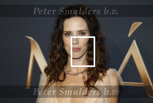 Amsterdam 11 maart 2026
Premiere 2e seizoen Maxima ( Videoland) in nieuwe kerk in Amsterdam . Delfina Chaves