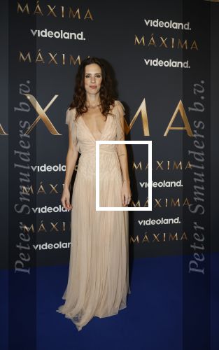 Amsterdam 11 maart 2026
Premiere 2e seizoen Maxima ( Videoland) in nieuwe kerk in Amsterdam . Delfina Chaves