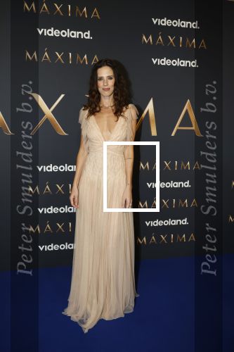 Amsterdam 11 maart 2026
Premiere 2e seizoen Maxima ( Videoland) in nieuwe kerk in Amsterdam . Delfina Chaves