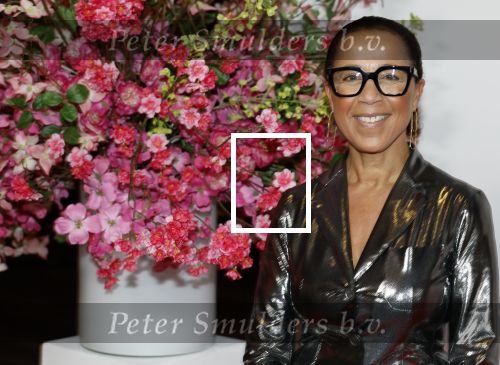 Amsterdam 26 maart 2026
Premiere Nationaal Ballet in de stopera. Diana Matroos