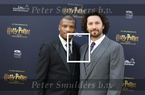 Scheveningen 14 maart 2026
Premiere Harry Potter in het afas circustheater. Diego Gonzalez-Clark