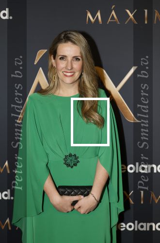 Amsterdam 11 maart 2026
Premiere 2e seizoen Maxima ( Videoland) in nieuwe kerk in Amsterdam . Ellen v d Berghe