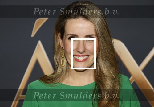 Amsterdam 11 maart 2026
Premiere 2e seizoen Maxima ( Videoland) in nieuwe kerk in Amsterdam . Ellen v d Berghe