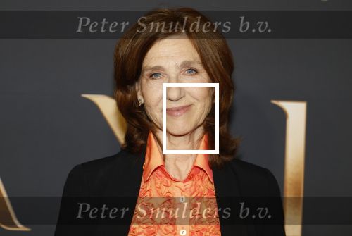 Amsterdam 11 maart 2026
Premiere 2e seizoen Maxima ( Videoland) in nieuwe kerk in Amsterdam . Elsie de Brauw