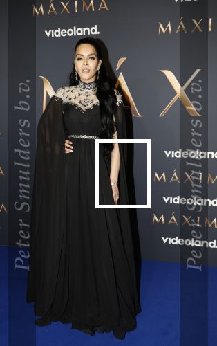 Amsterdam 11 maart 2026
Premiere 2e seizoen Maxima ( Videoland) in nieuwe kerk in Amsterdam . Elvira Penthesilea