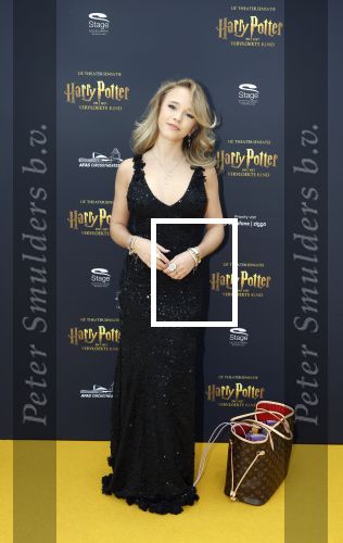 Scheveningen 14 maart 2026
Premiere Harry Potter in het afas circustheater. Emma Kok kwam met haar moeder