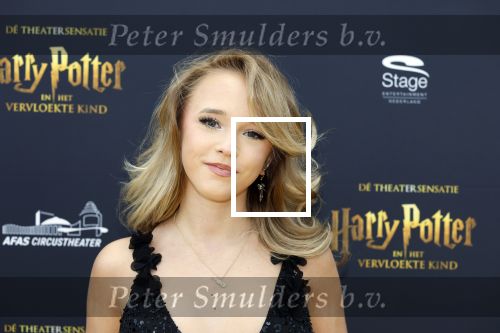 Scheveningen 14 maart 2026
Premiere Harry Potter in het afas circustheater. Emma Kok kwam met haar moeder