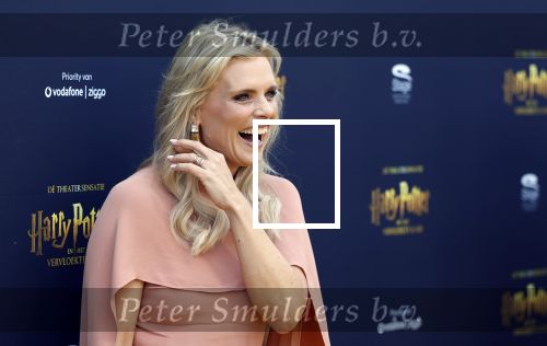 Scheveningen 14 maart 2026
Premiere Harry Potter in het afas circustheater. Eveline Stallaart kwam met Mari v d Ven