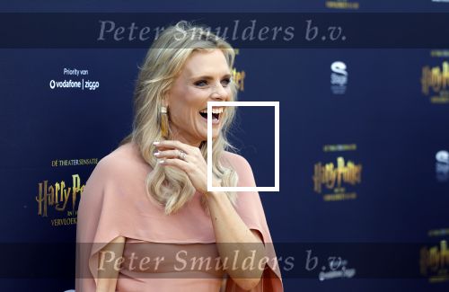 Scheveningen 14 maart 2026
Premiere Harry Potter in het afas circustheater. Eveline Stallaart kwam met Mari v d Ven
