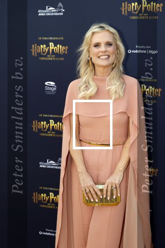 Scheveningen 14 maart 2026
Premiere Harry Potter in het afas circustheater. Eveline Stallaart kwam met Mari v d Ven