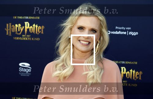 Scheveningen 14 maart 2026
Premiere Harry Potter in het afas circustheater. Eveline Stallaart kwam met Mari v d Ven